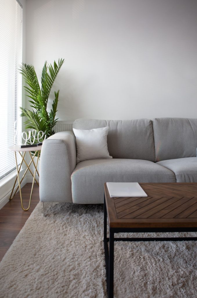 sivi trosjed, biljka, drveni stol i bijeli tepih
